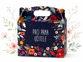 LIPOO DÁRKOVÝ BOX PRO PANA UČITELE