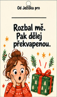 Vánoční jmenovka na dárek – Rozbal mě. Pak dělej překvapenou